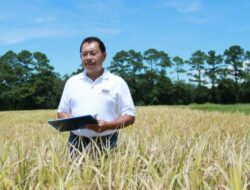 Prof Herry Utomo, Penemu Varietas Padi Tinggi Protein Pertama di Dunia: Dari Kota Malang ke Louisiana